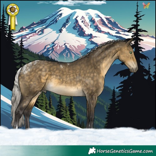 Horse Color:Powder White Silver Buckskin Dun 