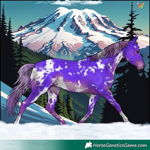 Horse Color:Watercolor White Spotted Liver Chestnut 