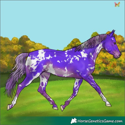 Horse Color:Watercolor White Spotted Liver Chestnut 