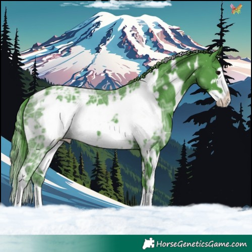 Horse Color:Watercolor White Spotted Black Ice Frame 