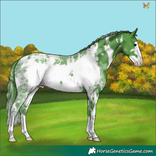 Horse Color:Watercolor White Spotted Black Ice Frame