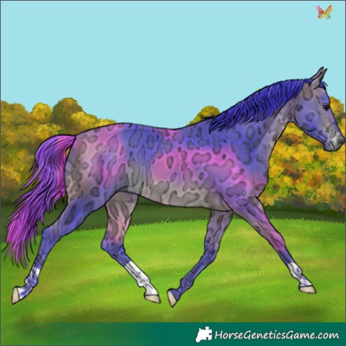 Horse Color:Watercolor Buckskin Ice 
