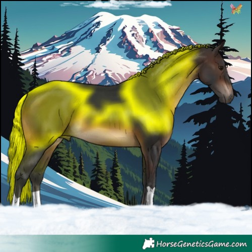 Horse Color:Brown 
