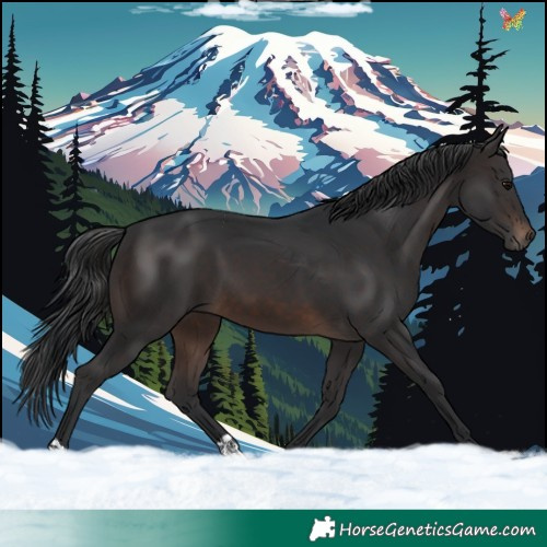 Horse Color:Brown 