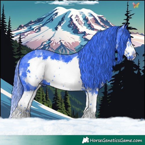 Horse Color:Watercolor Black Sabino Splash Frame 