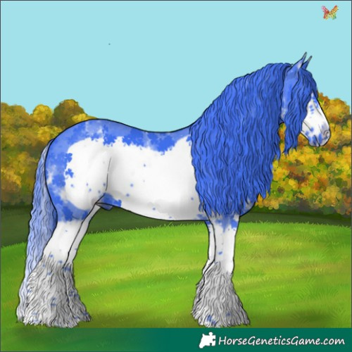 Horse Color:Watercolor Black Sabino Splash Frame 