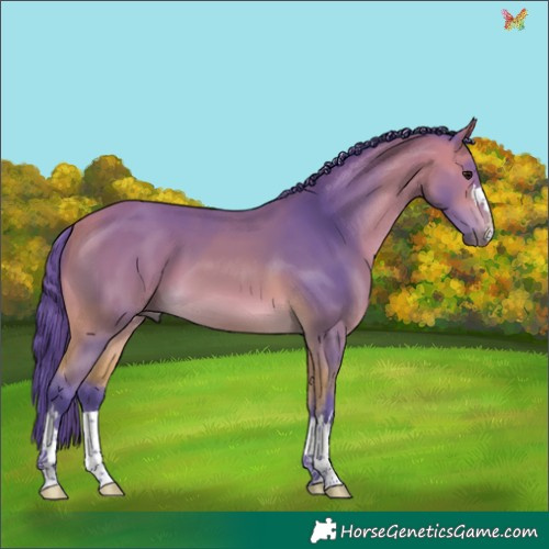 Horse Color:Watercolor Buckskin 