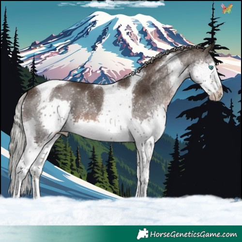 Horse Color:Liver Chestnut Mushroom Splash Tobiano 