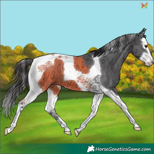 Horse Color:Smoky Black Ice Splash Tobiano 