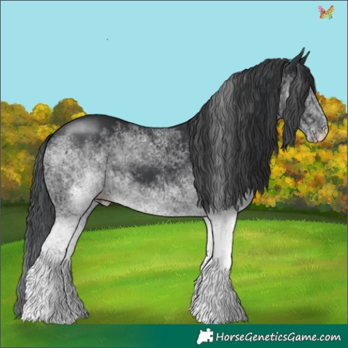 Horse Color:White Spotted Black Tobiano 