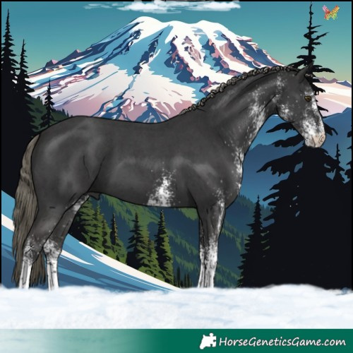 Horse Color:White Spotted Liver Chestnut Mushroom Tobiano 