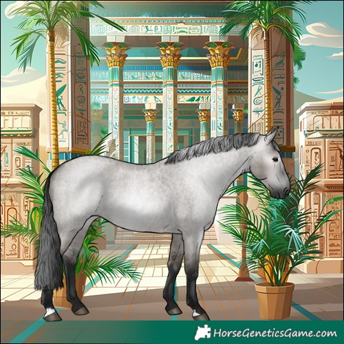 Horse Color:Gray Grullo Roan