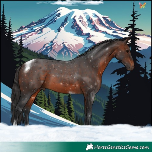 Horse Color:Brown Tobiano 