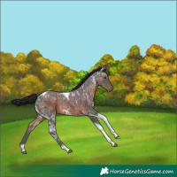 Horse Color:Brown Ice Tobiano Rabicano 