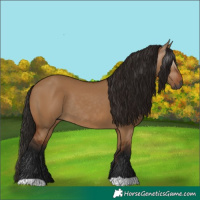 Horse Color:Gray Bay Dun Rabicano 