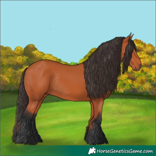 Horse Color:Bay Rabicano 