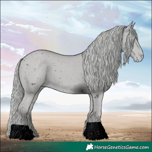 Horse Color:ERROR: UNKNOWN ANOMALY