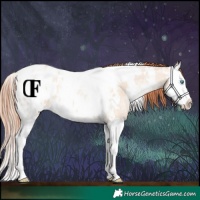 Horse Color:White Spotted Amber Champagne Ice Pearl Dun Sabino Splash Appaloosa 