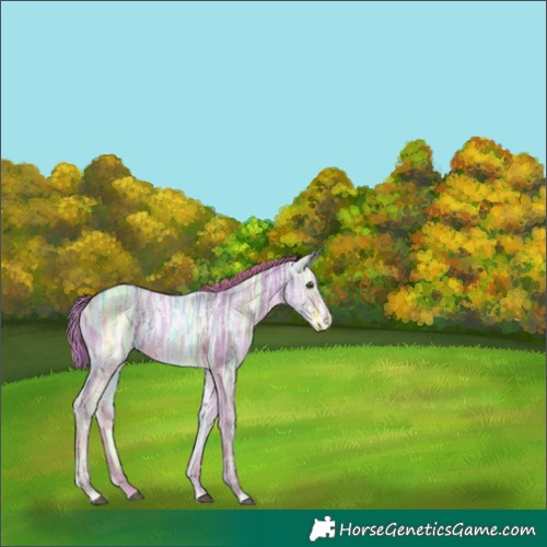 Horse Color:Watercolor Chestnut Ice 