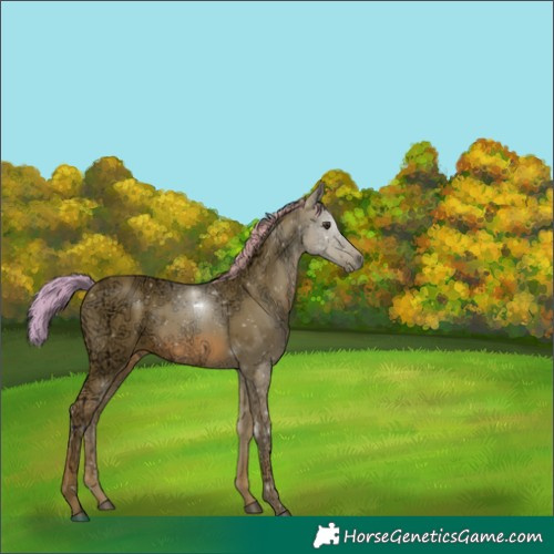Horse Color:Watercolor Chestnut Ice 