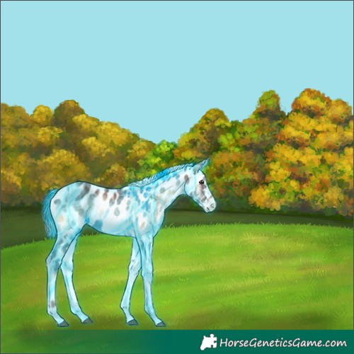 Horse Color:Thunderstruck Liver Red Onyx Ice Tobiano Appaloosa