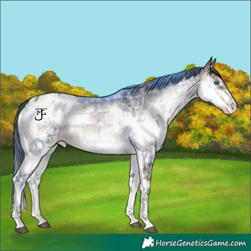 Horse Color:Plaid White Spotted Brown Ice Onyx Splash Blanket