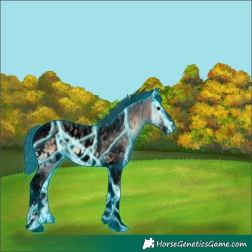 Horse Color:Void Thunderstruck Liver Red Onyx Ice Tobiano Frame Appaloosa