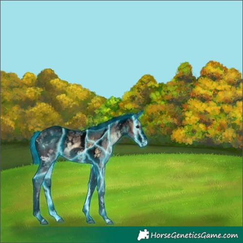 Horse Color:Void Thunderstruck Brown Ice Onyx Tobiano Frame Appaloosa