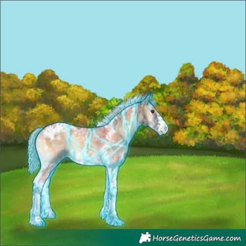 Horse Color:Thunderstruck Chocolate Palomino Ice Onyx Tobiano Frame Appaloosa