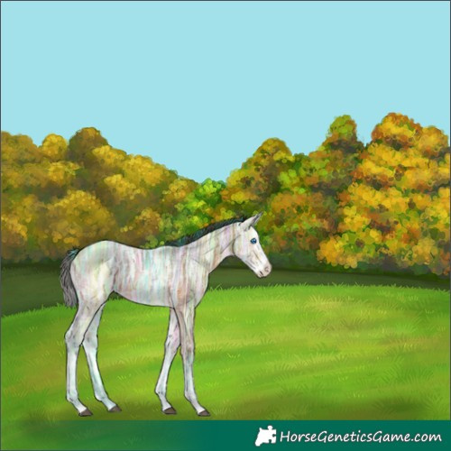 Horse Color:Watercolor Bay Ice Frame  and Bay Ice Splash 