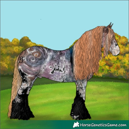 Horse Color:ERROR: UNKNOWN ANOMALY