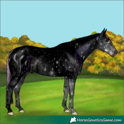 Horse Color:ERROR: UNKNOWN ANOMALY