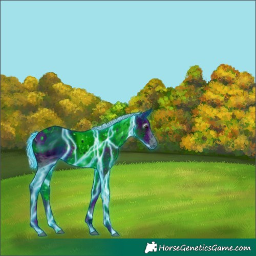 Horse Color:ERROR: UNKNOWN ANOMALY