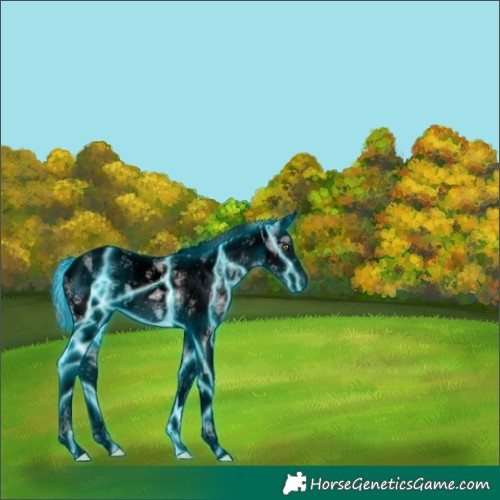 Horse Color:Void Thunderstruck White Spotted Silver Brown Ice Dun Splash Tobiano