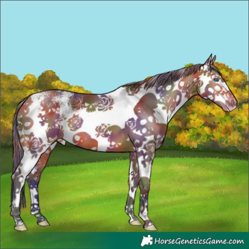 Horse Color:Nacre White Spotted Bay Splash Varnish 