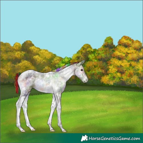 Horse Color:Painted Nacre White Spotted Bay Ice Onyx Tobiano
