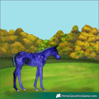 Horse Color:ERROR: UNKNOWN ANOMALY