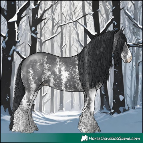 Horse Color:Black Sabino