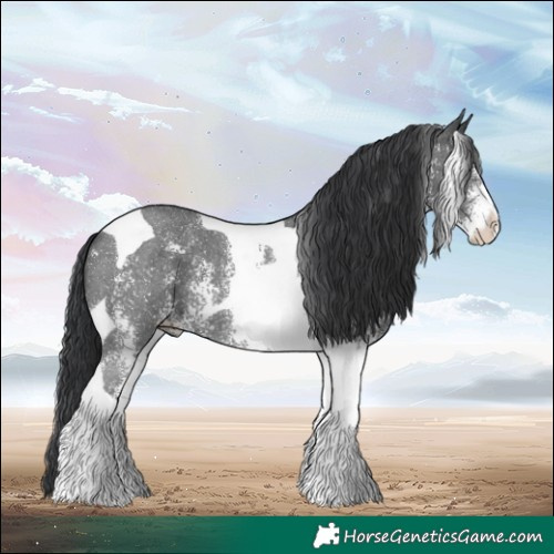 Horse Color:Black Sabino Tobiano 