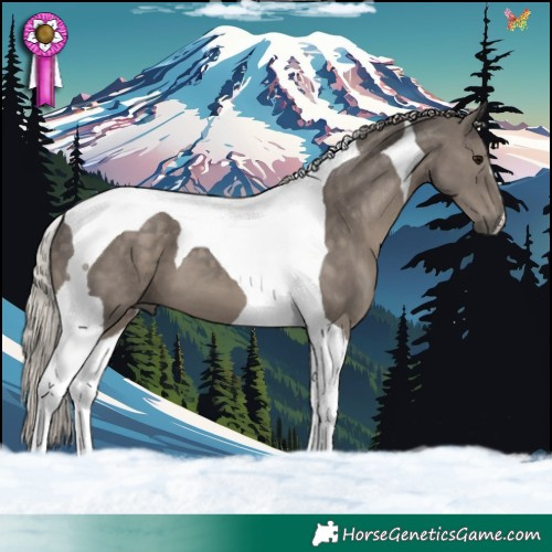 Horse Color:Silver Black Tobiano 