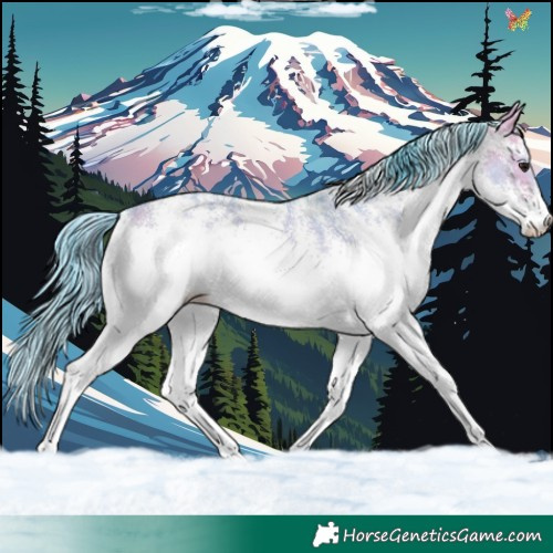 Horse Color:Watercolor White Spotted Bay Dun 