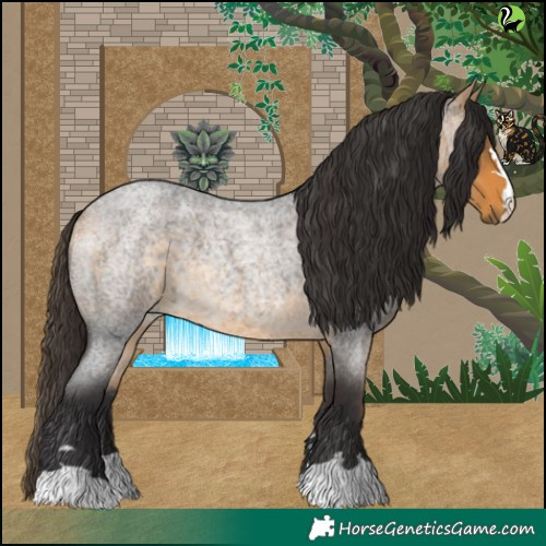 Horse Color:Buckskin Roan 