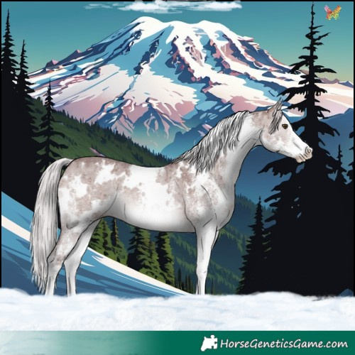 Horse Color:Platinum White Spotted Chocolate Silver Brown Dun Brindle 