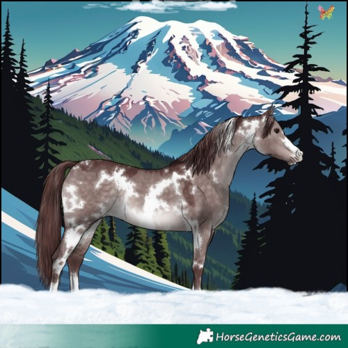 Horse Color:Platinum White Spotted Chocolate Brown Dun 