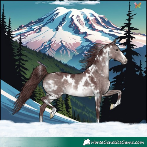 Horse Color:Platinum White Spotted Chocolate Brown Dun 