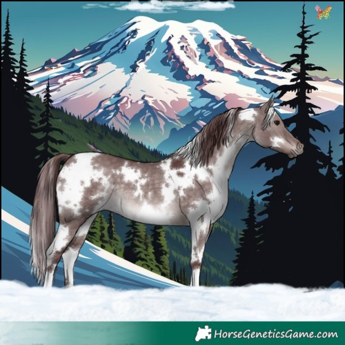 Horse Color:Platinum White Spotted Chocolate Brown Dun 