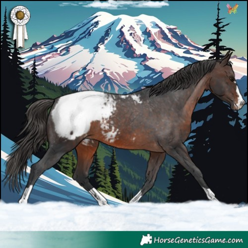 Horse Color:Brown Snowcap 