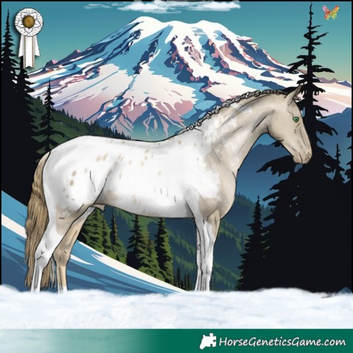 Horse Color:Smoky Black Pearl Tobiano Appaloosa 