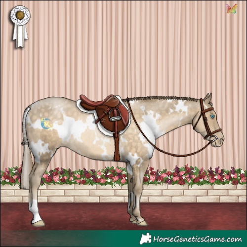 Horse Color:White Spotted Buckskin Pearl 