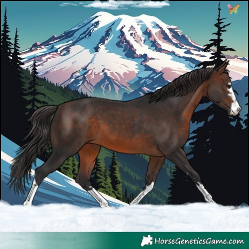 Horse Color:Brown 
